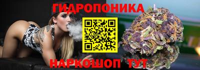 СК Нягань